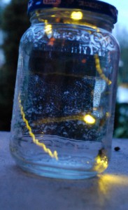 lightning bugs, known elsewhere as fireflies.