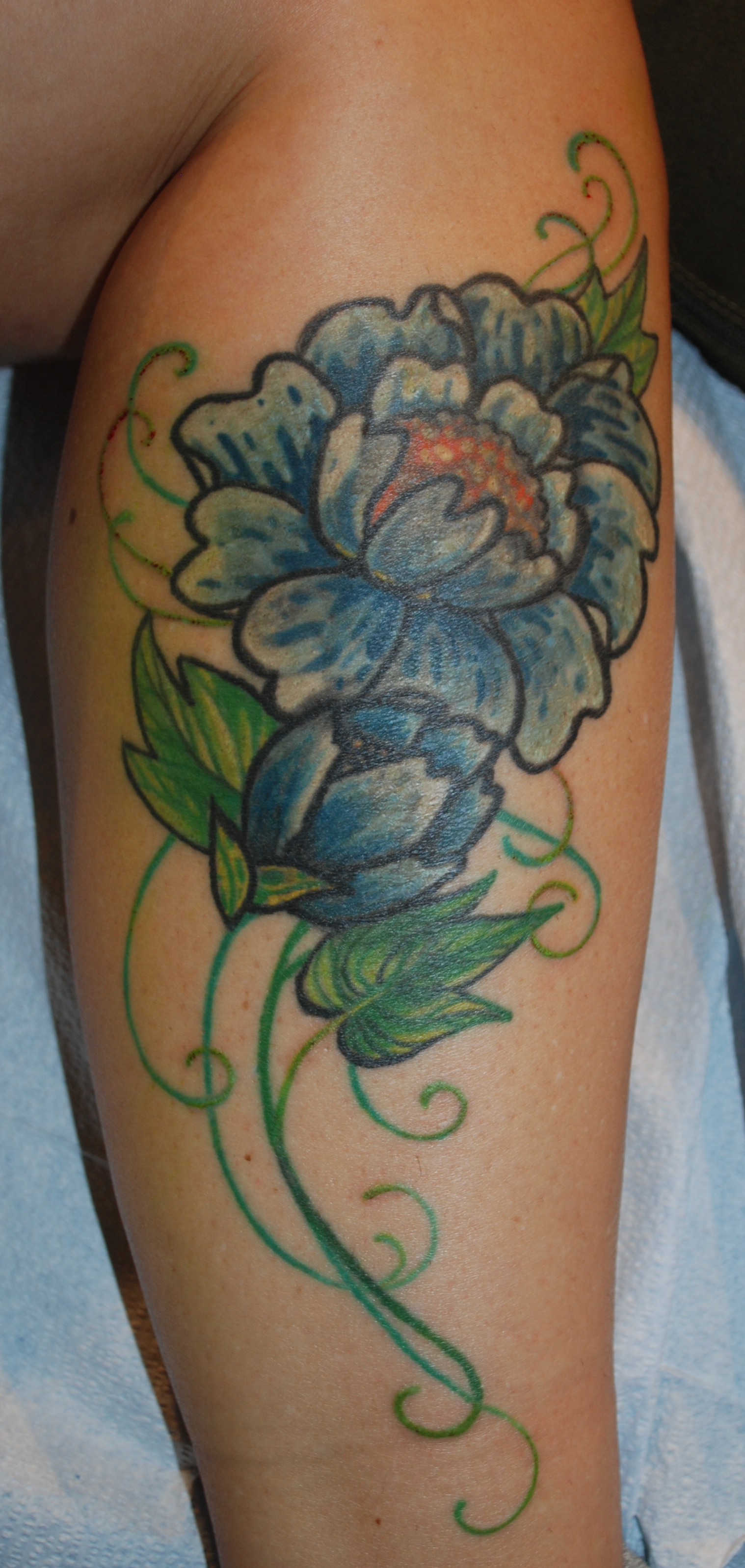 touched up one spot in the light green, the rest is healed!