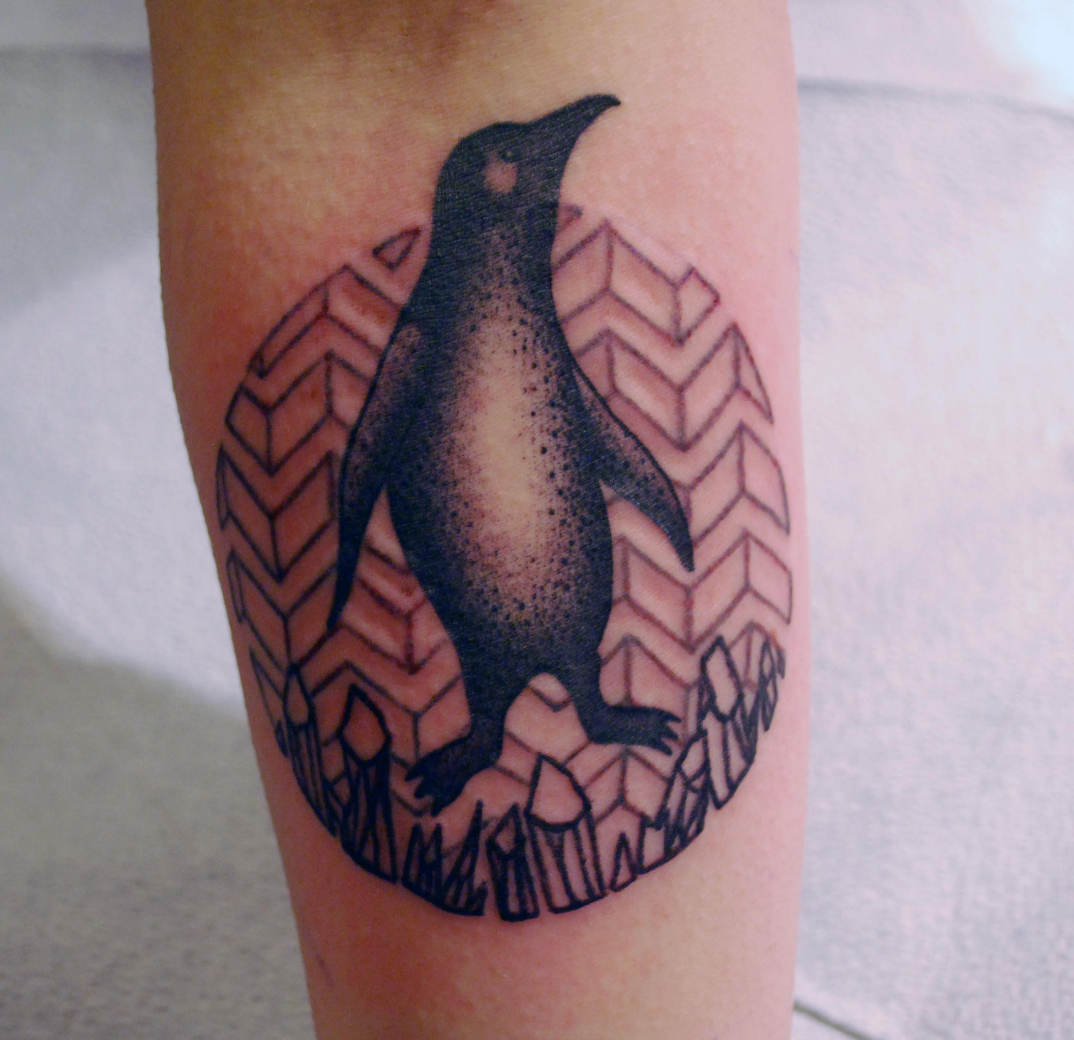 penguin done by Ludwig, at Under the Needle tattoo. IT IS ADORABLE. Background/geometry by me.